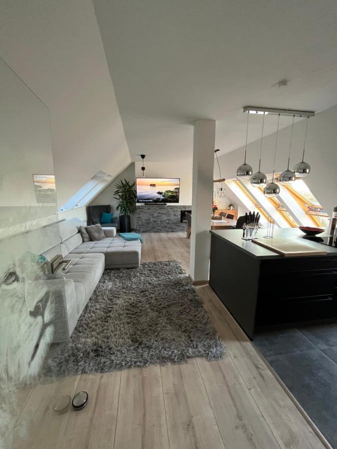 105 Qm Neues Klimatisiertes Appartment Fuer Familien Privater Parkplatz Κέμνιτς Εξωτερικό φωτογραφία